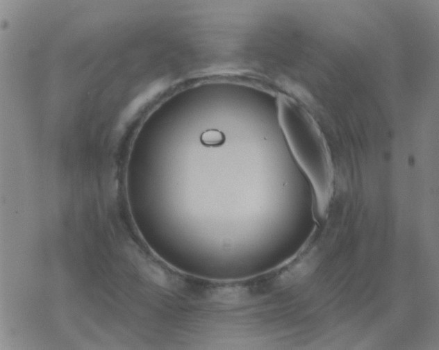 X0000074321406200609081955