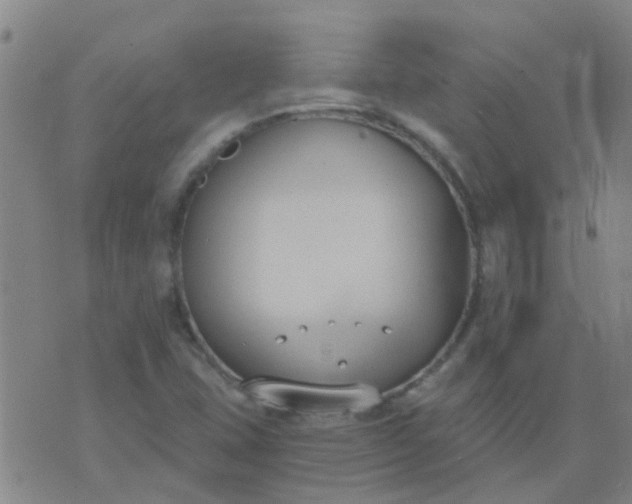 X0000074321407200609081955