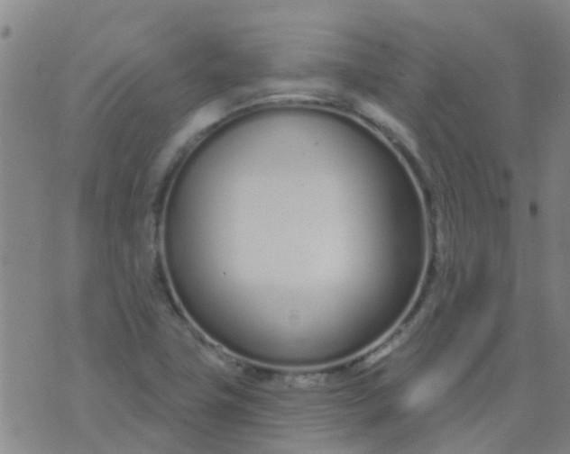 X0000074321411200609081955