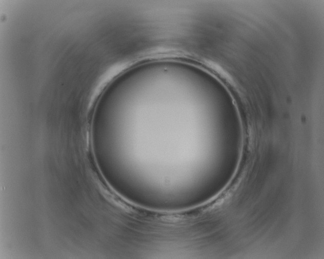 X0000074321413200609081955