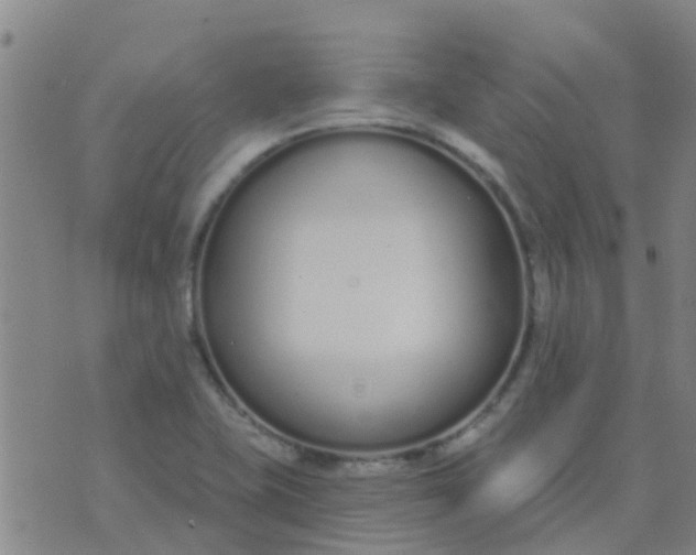 X0000074321415200609081956