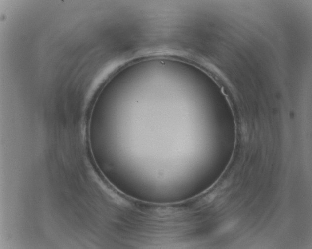 X0000074321416200609081956