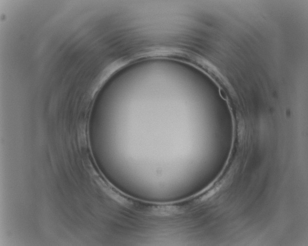 X0000074321417200609081956