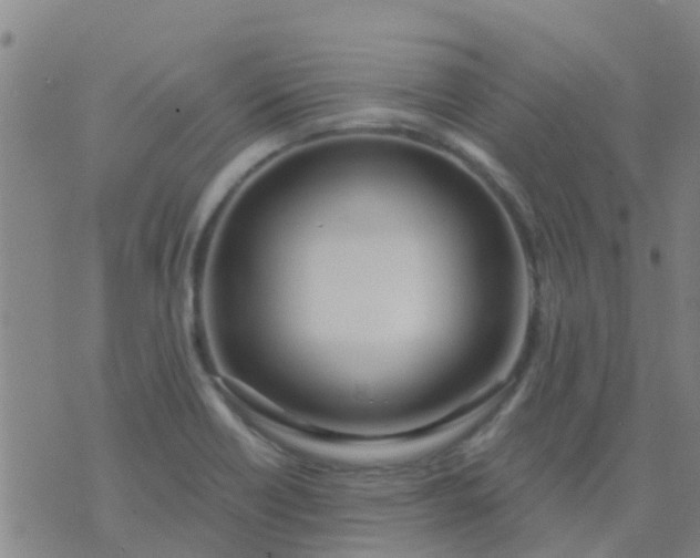 X0000074321418200609081956