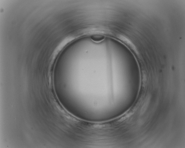 X0000074321419200609081956