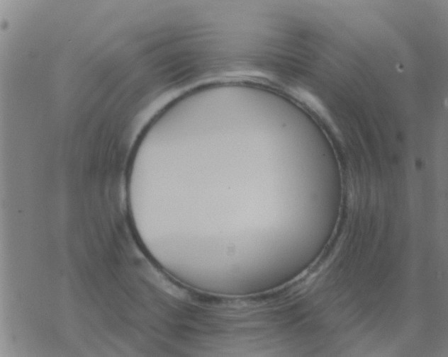 X0000074321420200609081956