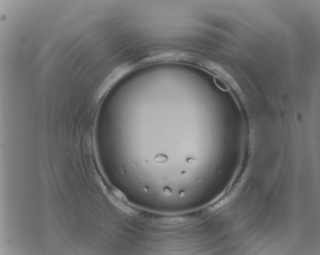 X0000074321425200609081956