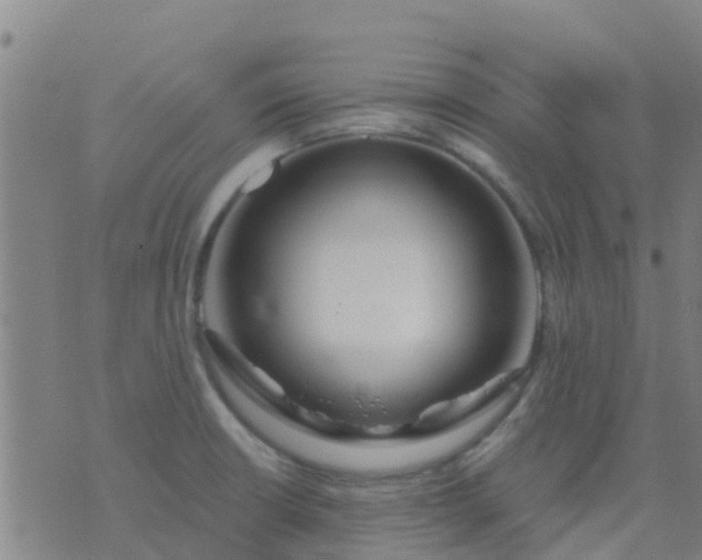 X0000074321426200609081956