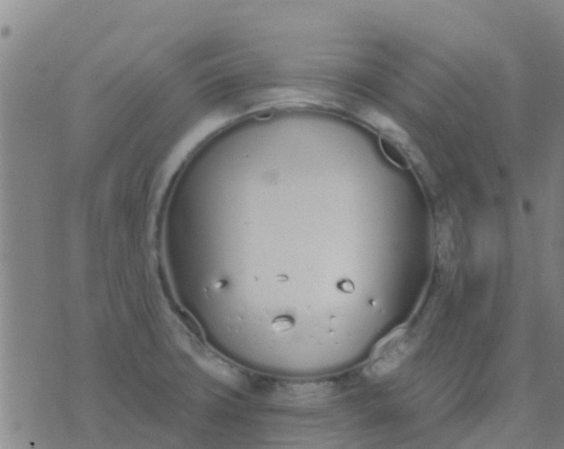 X0000074321427200609081956