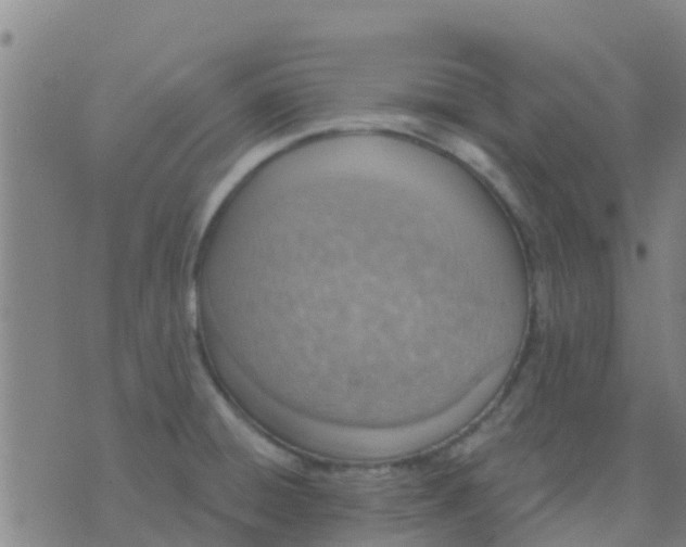 X0000074321428200609081956