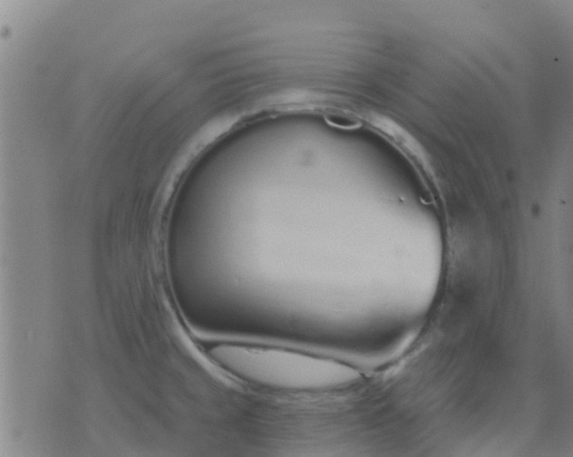 X0000074321429200609081956