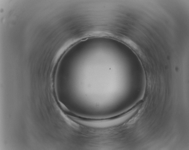 X0000074321430200609081956