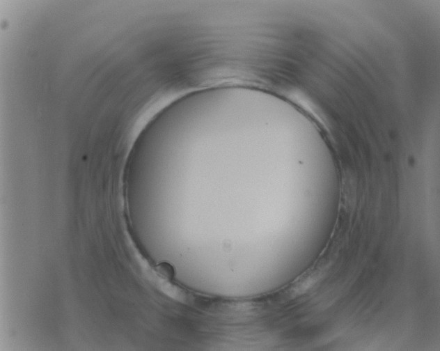 X0000074321431200609081956