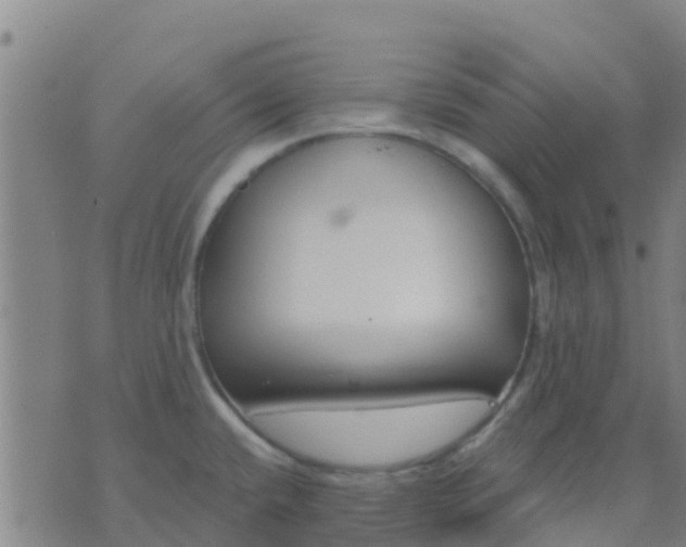 X0000074321432200609081956