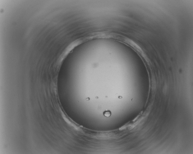 X0000074321433200609081956