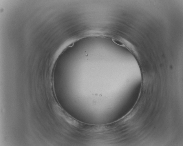 X0000074321435200609081956