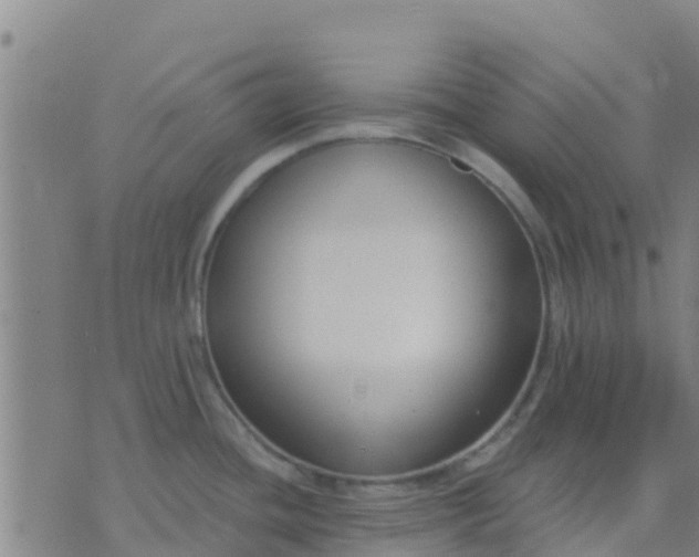 X0000074321436200609081956