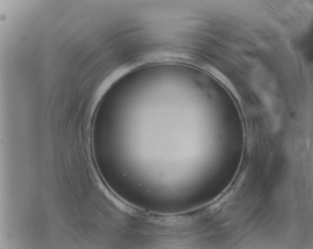 X0000074321437200609081956