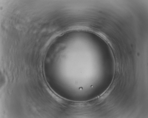 X0000074321438200609081956