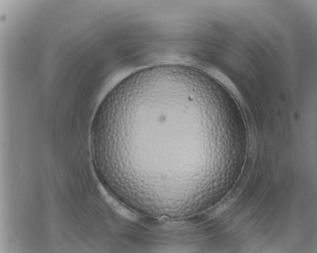 X0000074321439200609081956