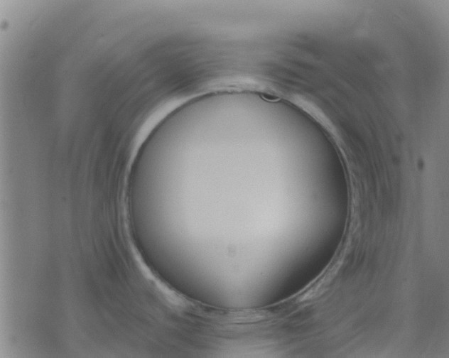 X0000074321440200609081956