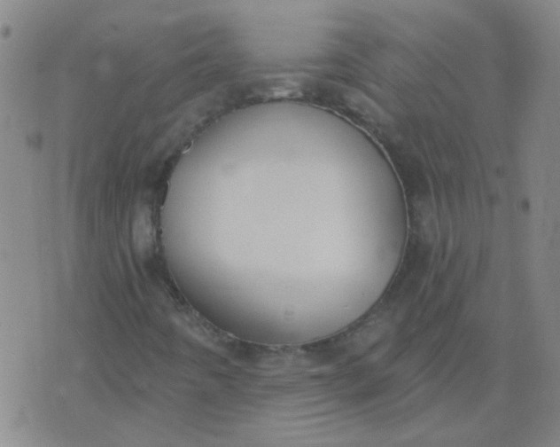 X0000074321442200609081955