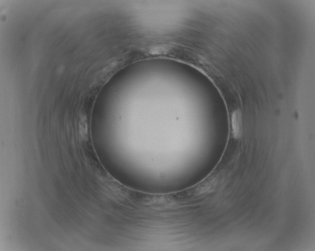 X0000074321443200609081955