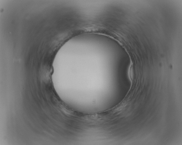 X0000074321444200609081955