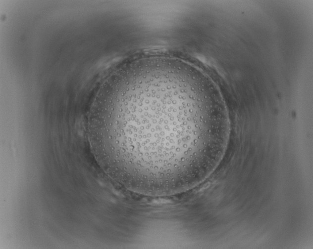 X0000074321445200609081955