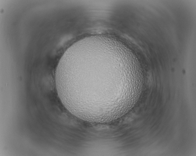 X0000074321446200609081955