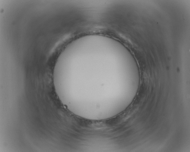 X0000074321447200609081955