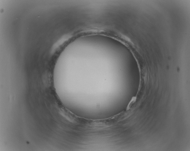 X0000074321448200609081955