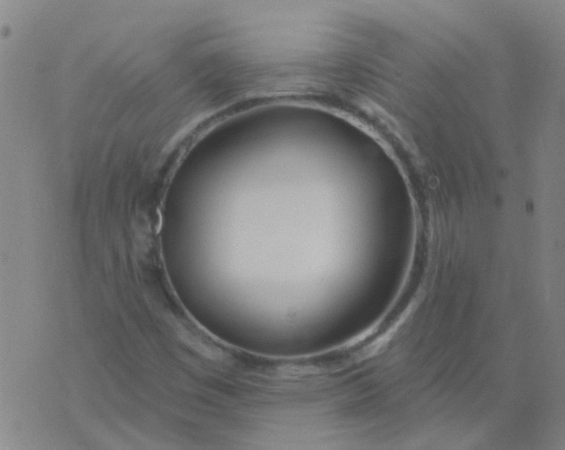 X0000074321449200609081955