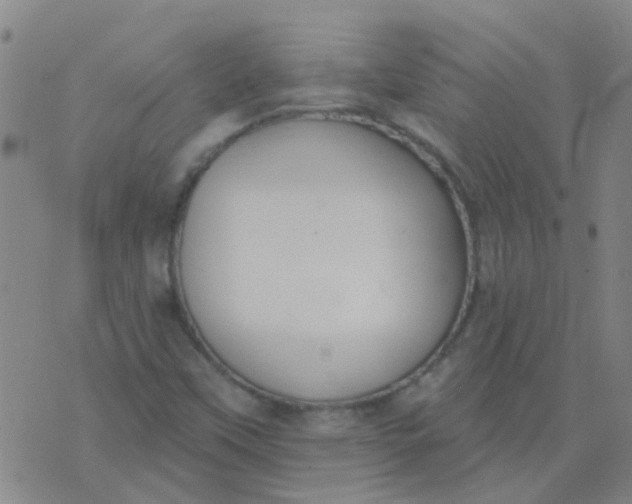 X0000074321451200609081955