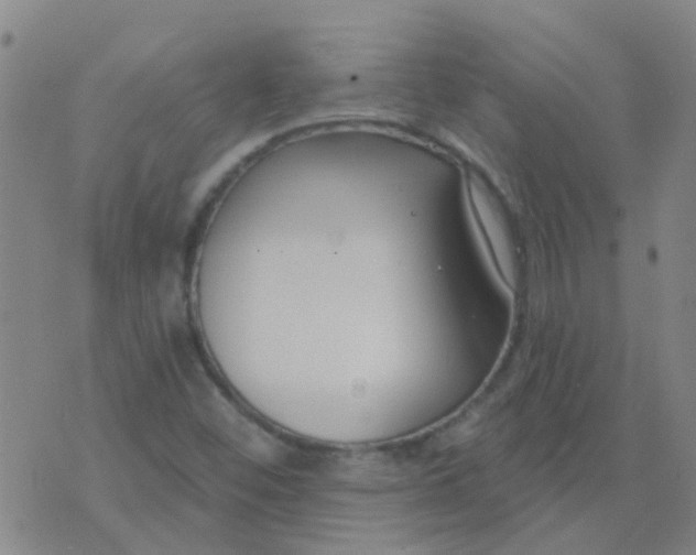 X0000074321452200609081955