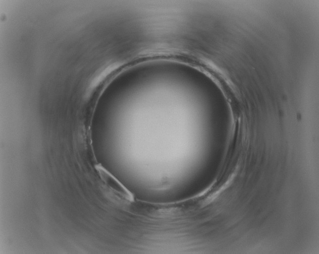 X0000074321453200609081955