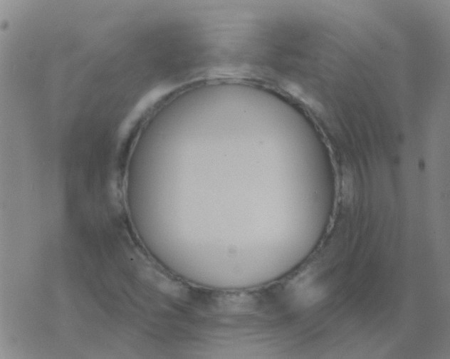 X0000074321454200609081955