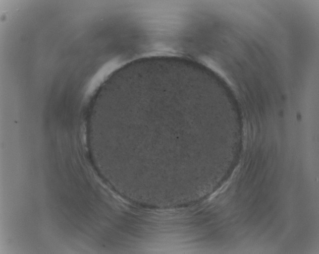 X0000074321455200609081955