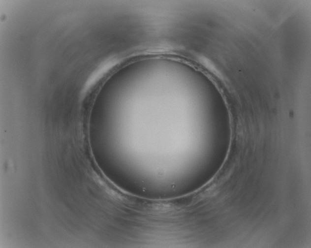 X0000074321456200609081955