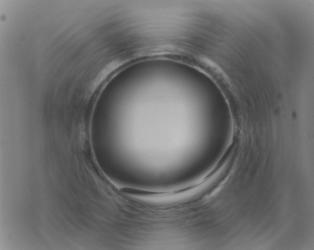 X0000074321457200609081955