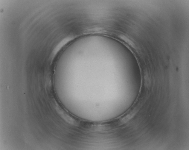 X0000074321458200609081955