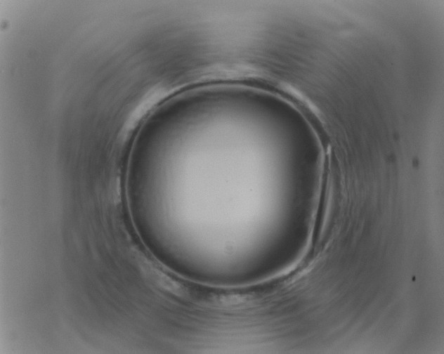 X0000074321459200609081955