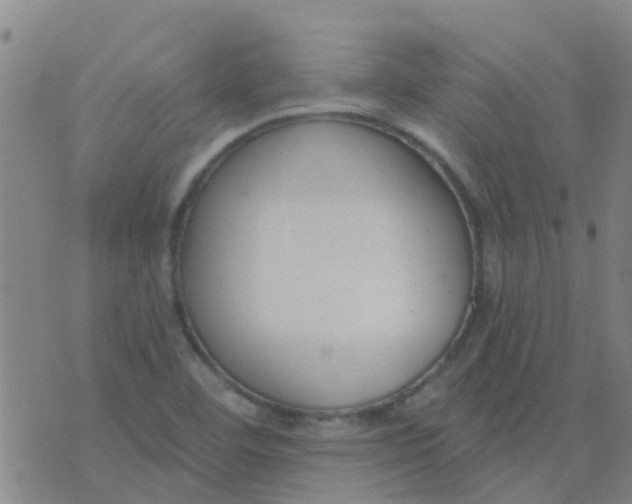 X0000074321460200609081955