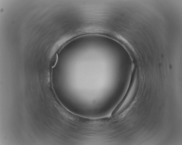 X0000074321461200609081955