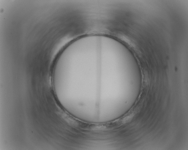 X0000074321462200609081955