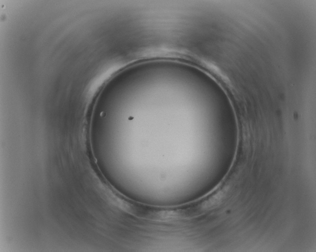 X0000074321463200609081955