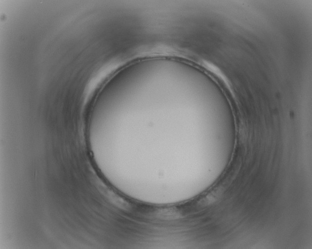 X0000074321464200609081955