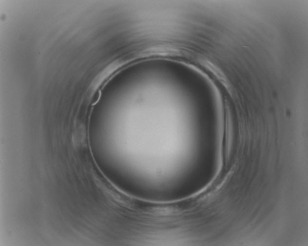 X0000074321465200609081955