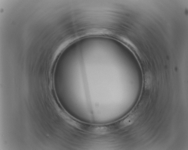 X0000074321467200609081955