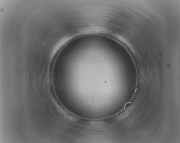 X0000074321469200609081955